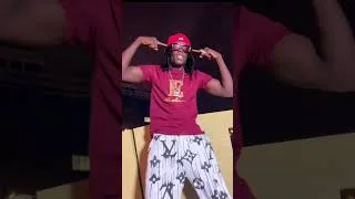 Miniature : Himra congolais EBEMPE challenge