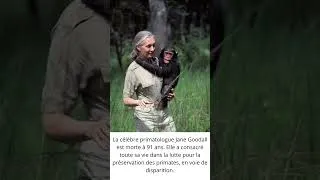Miniature : Jane Goodall est décédée