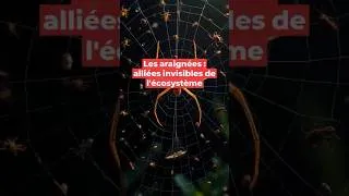 Miniature : Alliés invisibles ou nuisibles.