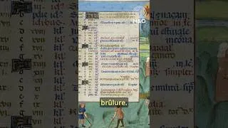Miniature : Survivre à l'été au Moyen âge #histoire