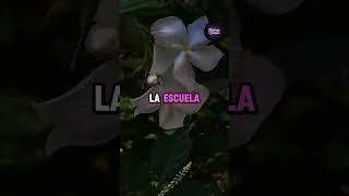 Miniature : Después de que mi papá falleciera,...