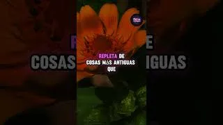Miniature : Mi hermana psíquica expresó el testamento de mi suegro fallecido, después de lo cual mi cuñada...