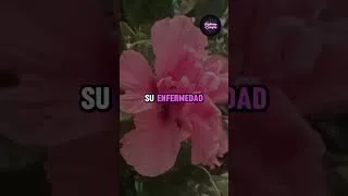 Miniature : Mamá y mi hermana cortaron a la abuela después de la muerte de papá, pero ella me eligió a mí...
