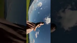 Miniature : وليد سيف - الشاهد المشهود : فرب يوم يأتي في قابل الأيام ...