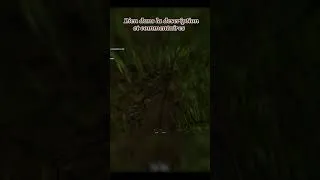 Miniature : Ce jeu est bizarre...