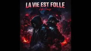 Miniature : LA VIE EST FOLLE !
