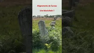 Miniature : Les Alignements de Carnac sont-ils un ancêtre de la Blockchain ?