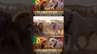 Miniature : Si le match Sénégal vs Norvège était un film d’action ! 🇸🇳🇳🇴 Le duel ultime Terranga vs Drillos