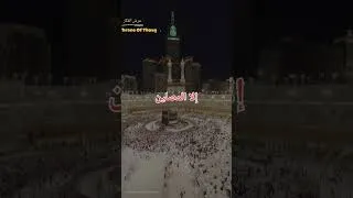 Miniature : salat salat