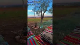 Miniature : salat