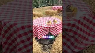Miniature : fête de village #peyrole