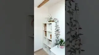 Miniature : Idéalement j'aimerais vivre dans une serre. #planteverte #short #décoration #plantlover #plants