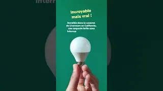 Miniature : Incroyable mais vrai #1