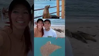 Miniature : Hop nature aux Îles Galapagos