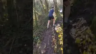 Miniature : Trail 15km les Givré de Nay 01/03/2026