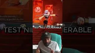 Miniature : test nilu - AOE vulnerable- 1 turn doki pande #etheria #etheriarestart #etheriaNilu