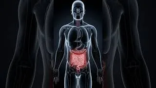 Miniature : Le Blocage Silencieux Dans Votre Corps | Ce Qui Se Passe Vraiment Pendant la Constipation 😨
