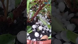 Miniature : Loir-et-Cher et Île-de-France ouest : des orages dévastateurs