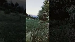 Miniature : Air frais du matin en montagne. Belle journée à tous ☺️✌️