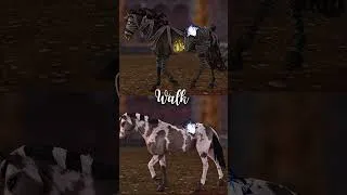 Miniature : Trapped in memories of his glory days💔#sso #starstable #starstableonline #horsegames
