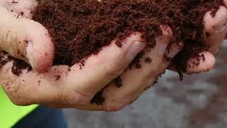 Miniature : Choisir son terreau pour les plantations