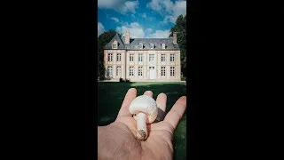 Miniature : How to make MushroomPasta🍄😱 in less then 10 minutes #shorts