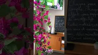 Miniature : 🏡 Bienvenue au centre HTC Santé – Un lieu privé et accueillant dédié à votre bien-être ! 🌿