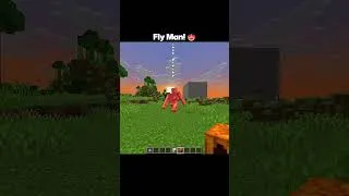Miniature : Fly Gogo