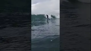 Miniature : #shorts Stéphane.G #surf #surfing #waves #magicsurf #gopro #surfers #dreamwaves #barrel #legendsurf