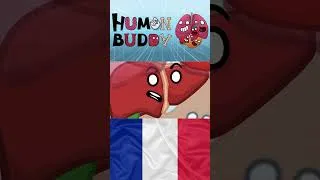 Miniature : Qu'est ce que la méditation fait à votre cerveau Part 04