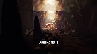 Miniature : L'homme ignore ce qu'il ne contrôle pas🐞