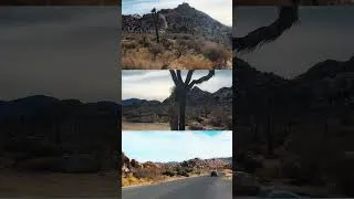 Miniature : Desert Joshua, #Californie #Vanlife #famillenomade