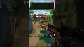 Miniature : POV : The Rogue Vandal gives you an aimbot... #valorant #valorantclips