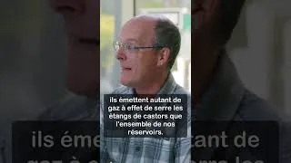 Miniature : Qu’est-ce qui génère le plus de méthane? Les réservoirs de nos centrales ou les flatulences des 🐄?
