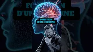 Miniature : FONCTION D’UN NEURONE 🧠 | #charmleguide #bac #svt #neuroscience