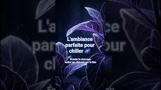 Miniature : Le plant 🌿 #chill #chillmusic #jardinage #jardin #été #plantation #viral #shorts #foryou #tomato