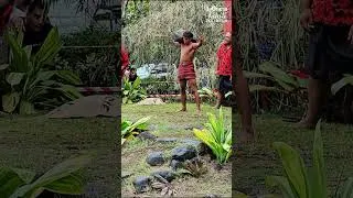 Miniature : Levé de Pierre | HEIVA TŪ'ARO MĀOHI 2024 #frenchpolynesia  #travel #sports