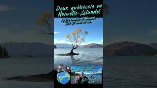Miniature : #shorts  Frankton et Wanaka Ep 8 #nouvellezelande #wanaka #Gibbston