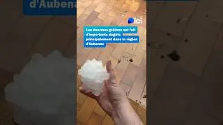 Miniature : Des grêlons gros comme des boules de pétanque frappent l'Ardèche ! 🌨️