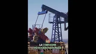 Miniature : Bonne nouvelle : l'exploitation d'un gisement pétrolier en Équateur bloquée par référundum.