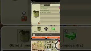 Miniature : Deux exos PM en 30 runes sur Dofus Retro