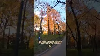 Miniature : JAPAN IS SO SEXY #triggered #osaka