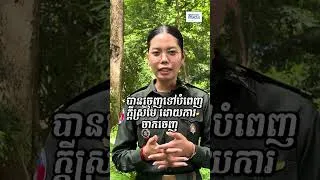 Miniature : អនាគតក្នុងដៃអ្នក! - ជាវត្ដី