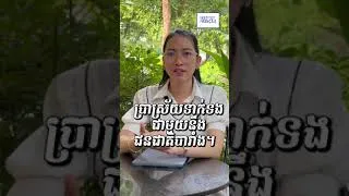 Miniature : អនាគតក្នុងដៃអ្នក! - ប្រពៃ