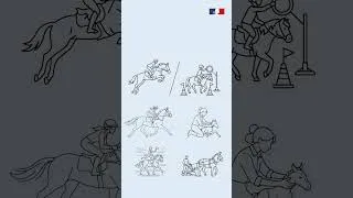 Miniature : Stat'équine - Emplois et marché du travail