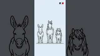 Miniature : Stat'équine - Équidés, surfaces et détenteurs