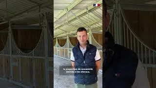 Miniature : Réduire les concentrés - Haras Saint-Yves