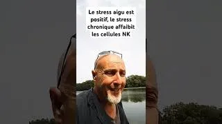 Miniature : Stress aigu et Stress chronique NK===)Plus
