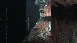 Miniature : 🔎 La majorité des grands fonds marins reste encore inexplorée