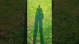 Miniature : 🤜🤛 Apprenons, essayons et réussissons 💞